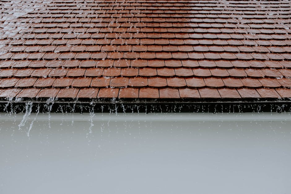 Why You Should Be Cautious of Free Roof Inspections